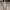 Corkcicle Sportswear Biker Glass Pria gray photo 1