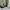 Aesthete Yourlife parachute pants photo 5