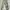Aesthete Yourlife parachute pants photo 1