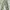 Aesthete Yourlife Parachute Pants