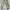 Aesthete Yourlife parachute pants photo 3
