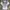 Nike pro combat jersey compression photo 1