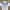 Nike pro combat jersey compression photo 3