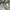 crop blazer outer wear vintage brand OLIVIA LAUREN stripped  photo 5