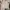 crop blazer outer wear vintage brand OLIVIA LAUREN stripped  photo 1