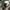 Sweatshirt Crewneck Ambler S photo 5