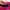 Bslen small pink photo 3