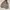 Parka Jacket Kanvas photo 6