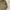 Parka M65 Jacket Army photo 2
