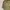 Parka M65 Jacket Army photo 3