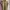 Polo Ralph Lauren beige Barcode Iconic photo 8