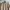 Polo Ralph Lauren beige Barcode Iconic photo 1