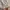 Vintage Fred Perry Sportswear Polo Shirt twin tapped photo 4
