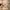 2000s Oakley Four S Original | Gorpcore | Y2K