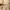 2000s Oakley Four S Original | Gorpcore | Y2K photo 1
