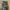 Celana Cargo columbia military army camo outdoor pants photo 4