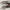 adidas lonestar city series MMXII photo 3