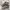 adidas lonestar city series MMXII photo 1