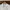 [S-M Man/ M-L Woman] GIORDANO Iconic Logo Cotton Shirt Long  photo 2