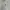 [S-M Man/ M-L Woman] GIORDANO Iconic Logo Cotton Shirt Long  photo 3