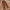 Unbranded Corduroy Cargo Pants (Brown) photo 1