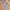 SHEIN Grey Cargo Pants photo 1