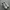 nike af1 photo 3