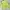 Vivastudio Streetwear Sportswear Sweater Pria Yellow Green