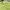 Vivastudio Streetwear Sportswear Sweater Pria yellow green photo 3