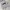 MLB Streetwear Sweater Pria gray photo 1