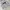 MLB Streetwear Sweater Pria Gray