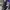 ADIDAS COAST STAR BLACK CORE WHITE STRIP , ADIDAS COAST STAR photo 8