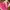 Reebok Windbreaker Colour Block Hidden Hoodie Pink photo 2