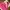 Reebok Windbreaker Colour Block Hidden Hoodie Pink