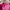Balenciaga City Bag in Pink photo 7