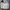 WINDBREAKER BY CHAMPION  photo 1