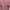 H&M Minimalist Sweatshirt Wanita pink photo 3