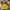 Tanktop Knit Kuning photo 1