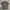 Lacoste Minimalist Casual Polo shirt Pria green photo 2