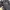 Spao Streetwear Casual Trench coat Pria navy photo 4