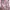 3 item photo 3