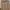 ZARA Streetwear Luxury Sweatshirt Pria tan photo 1