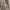 ZARA Streetwear Luxury Sweatshirt Pria tan photo 5