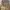 ZARA Streetwear Luxury Sweatshirt Pria tan photo 2
