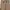 ZARA Streetwear Luxury Sweatshirt Pria tan photo 4