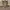 ZARA Streetwear Luxury Sweatshirt Pria tan photo 3