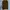 Knit tommy hilfiger warna coklat autentik photo 1