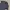 Calvin Klein Minimalist Casual Polo shirt Pria black gray photo 3