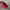 Vans Boots photo 1