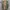 Parka Jacket Rodeo Crown photo 2